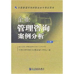 全國(guó)管理咨詢師職業(yè)水平考試用書 企業(yè)管理咨詢案例分析 上下