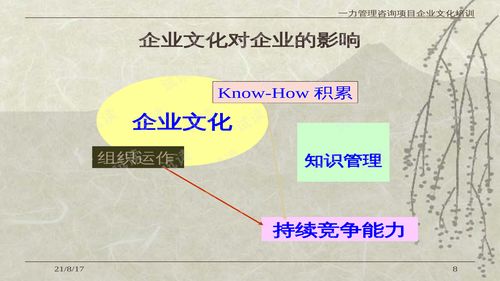 005132012年一力咨詢企業文化公司動力管理培訓教材 52頁 .ppt 互聯網文檔類資源 csdn下載
