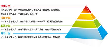 碧桂園集團 領導力發展項目